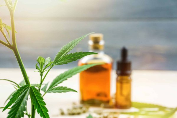 Pourquoi opter pour la consommation des huiles de CBD relaxantes bio ?